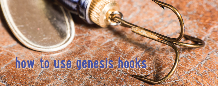 What the Hook?! What Are Genesis Hooks and How Do I Use Them?