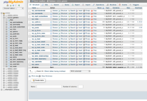 phpmyadmin database