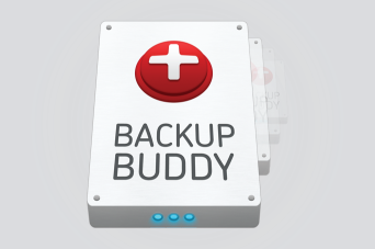 BackupBuddy Review